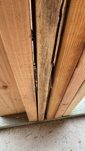 are-these-framing-studs-acceptable-builder-says-its-normal-v0-bmic0q3b27vg1