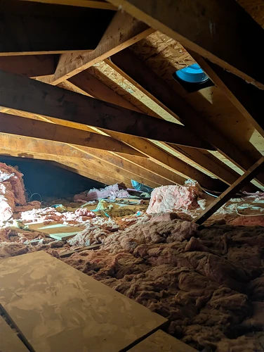 home-framing-issue-v0-g2km0ujtkxgg1