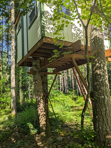 treehouse-update-v0-fmwu5aumzn7h1
